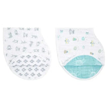 Aden + Anais - 2Pk Burpy Bibs Now + Zen Image 1