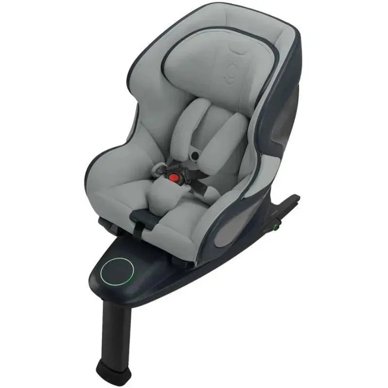 Babyark - Convertible Car Seat, Charcoal Grey/Glacier Ice