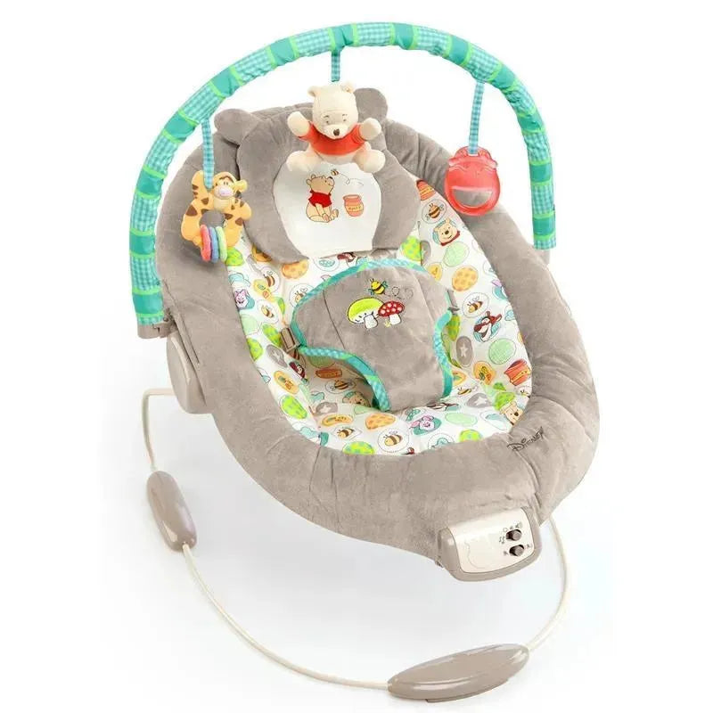 disney winnie the pooh umbrella stroller Bright Starts Baby Bouncer