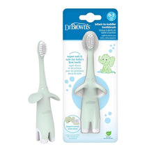 Dr. Brown's Infant-to-Toddler Toothbrush Elephant, Mint Image 1