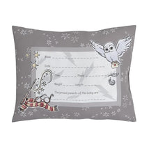 Nojo - Warner Brothers Harry Potter Magical Moments Keepsake Pillow Image 1