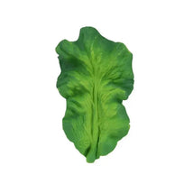 Oli & Carol - Chewable Toy, Kendall The Kale Image 1
