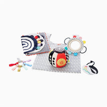 Sassy Wimmer Sensory Fundamentals Gift Set Image 1