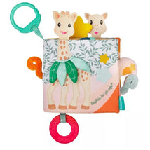 Vulli - Discovery Book Image 1