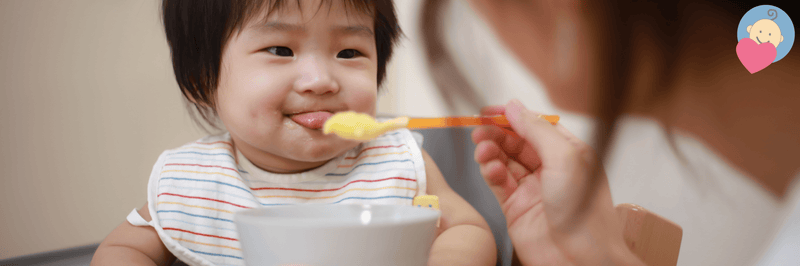 Introducing Solid Foods: Tips and Feeding Products