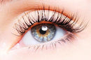 Macro Beauty Spa - Classic Eyelash Extension | Orlando, FL