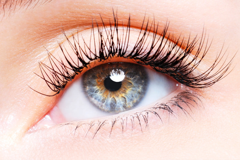 A close-up of a woman's blue eye with classic eyelash extensions. The extensions are individually applied to her natural lashes, creating a natural and subtle look