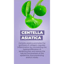 Green leaves of Centella asiatica on a lavender background. Text highlights its benefits for collagen synthesis and preventing stretch marks.