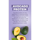Avocado protein benefits in preventing stretch marks, featuring halved and whole avocados with informative text.
