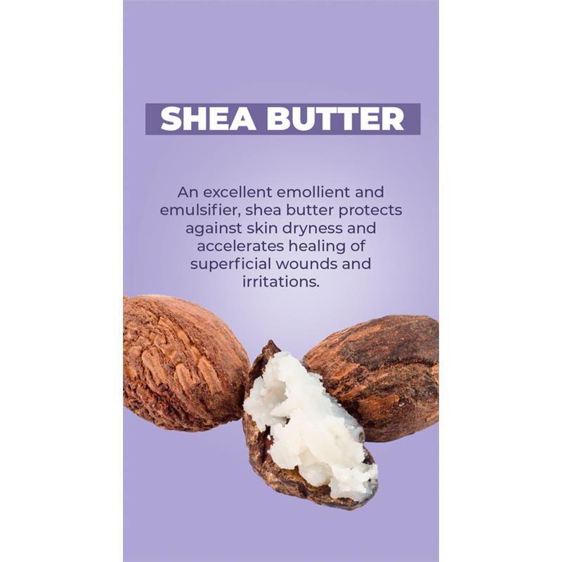 Shea butter nuts with an open nut showing the creamy interior, on a purple background with text about its benefits for skin health.