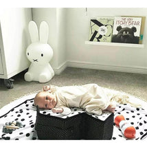 Baby Shusher, The Soothing Sleep Miracle for Babies Image 2