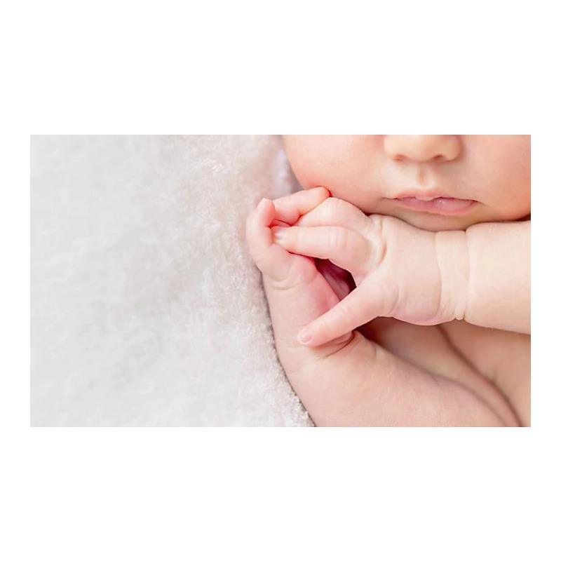 Babyganics Frangrance Free Baby Moisturizing Lotion For Sensitive Skin Image 5