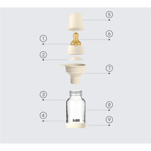 Bibs - Baby 4Oz Latex Glass Bottle With Bumper Blush Image 2