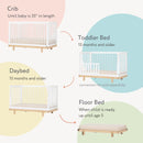 Bliss 4-in-1 Convertible Crib