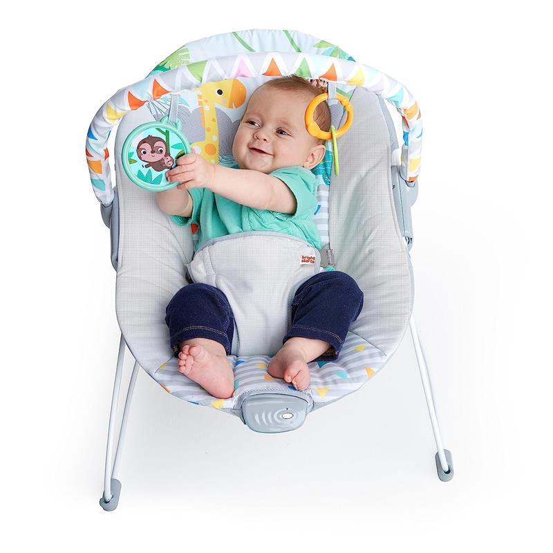 Bright Starts - Baby Bouncer Soothing Vibrations Infant Seat Image 4