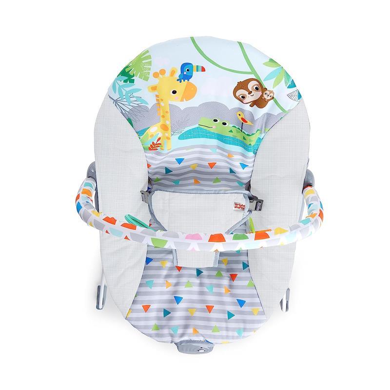 Bright Starts - Baby Bouncer Soothing Vibrations Infant Seat Image 6