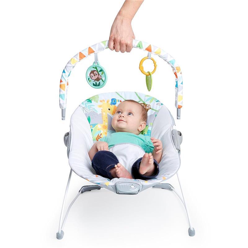 Bright Starts - Baby Bouncer Soothing Vibrations Infant Seat Image 7