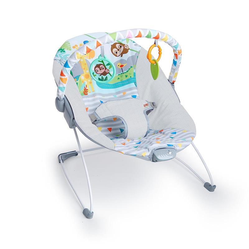 Bright Starts - Baby Bouncer Soothing Vibrations Infant Seat Image 9