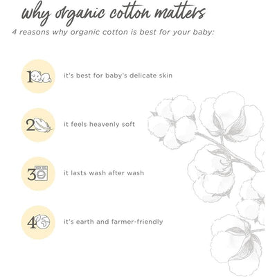 Infographic listing four reasons organic cotton is best for babies, emphasizing softness and eco-friendliness.