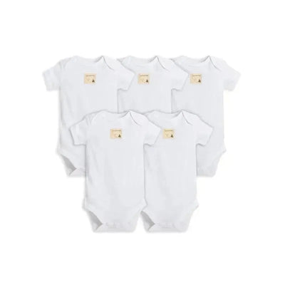 Burt's Bees - Essential Bodysuit 5 Pack, Cloud Image 1