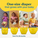 Charlie Banana - Donuts Reusable Cloth Diaper One Size Image 5