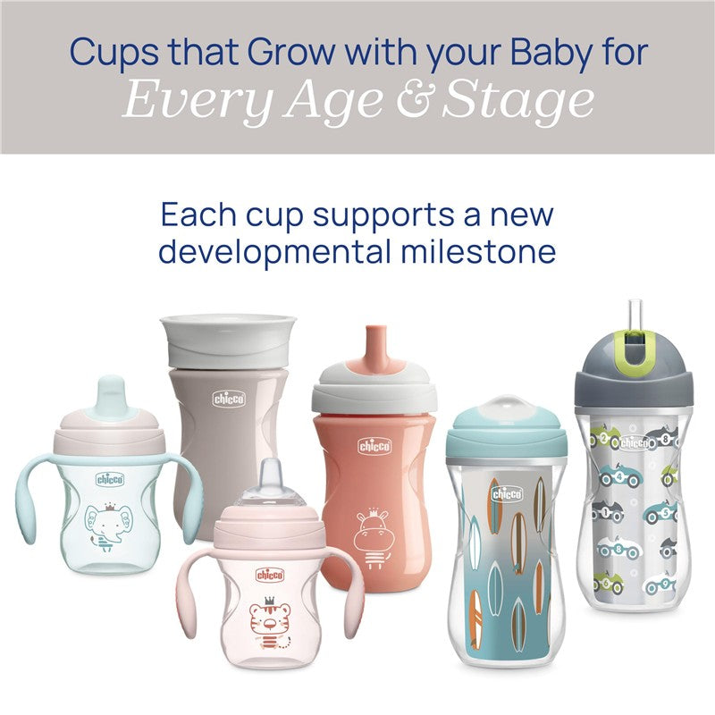 Chicco Insulated Straw Sippy Cup 12+ Months, 9oz Toddler Training Cup with Spill-Free Flip-Top Lid, BPA-Free 2-Pack, Black/White/Silver