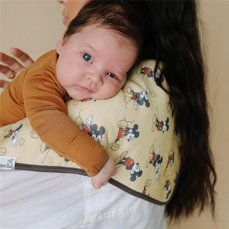 Copper Pearl - 3Pk Disney Princess Burp Cloth Set Image 4