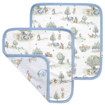 Copper Pearl - 3Pk Hundred Acre Wood Security Blanket Image 1