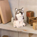 DEMDACO - Little Silver Grey Wolf Children's Plush Beanbag Stuffed Animal Toy Image 2