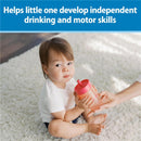 Dr. Brown's 2Pk Milestones Straw to 360 Convertible Toddler Training Cup Set with Interchangeable Silicone Straw and 360 Degree Cup Lids, Pink Cora Image 6