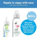 Dr. Brown's Milestones Narrow Sippy Bottle, 100% Silicone Soft Sippy Spout, 8oz/250mL, 6M+, Flamingo Image 3
