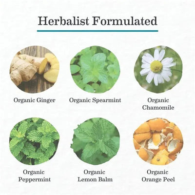 Herbalist formulated ingredients for Earth Mama Organic Ginger Nausea Tea, showing ginger, spearmint, chamomile, peppermint, lemon balm, and orange peel.