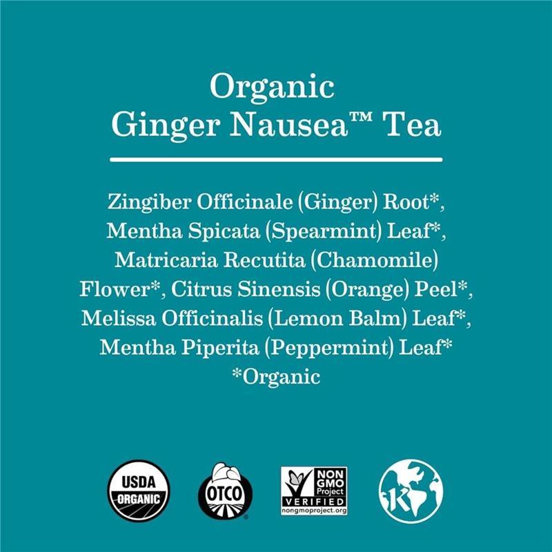 Earth Mama - Organic Ginger Nausea Tea Image 8