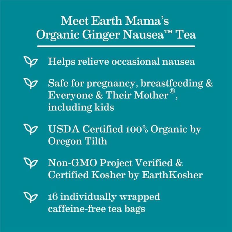 Earth Mama - Organic Ginger Nausea Tea Image 9