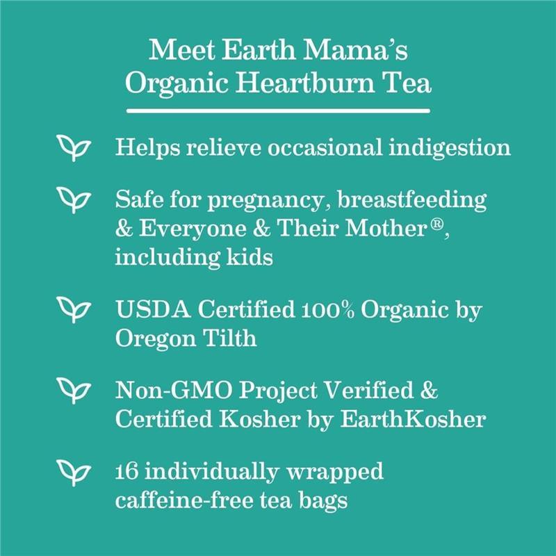 Earth Mama - Organic Heartburn Tea Image 5