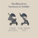 Ergobaby Metro+ Deluxe Compact Stroller, Empire State Green Image 5