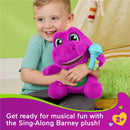 Fisher Price - Barney’s World Toddler Toys by Fisher-Price, Barney Tall Plush Image 2