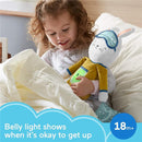 Fisher Price Hoppy Dreams Sleepy Time Plush, Soother & Sleep Trainer, Plush Musical Toddler Toy with Sleep Training Tool, Lights and Sounds Image 3