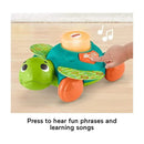 Fisher Price Linkimals Sit-To-Crawl Sea Turtle Image 3