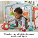 Fisher Price - Playmat 3-In-1 Crawl & Play Activity Gym Image 3