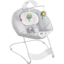 Fisher Price - See & Soothe Deluxe Bouncer Image 1