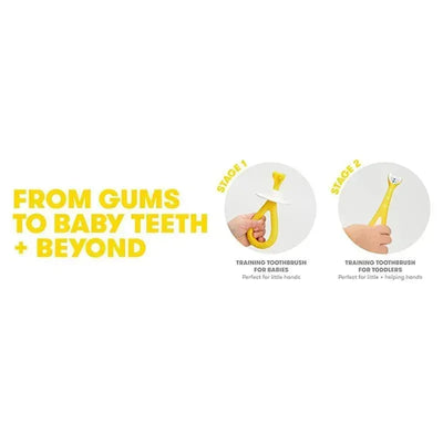Grow-with-Me Training Toothbrush Set showing Stage 1 for babies and Stage 2 for toddlers, highlighting features for little hands.