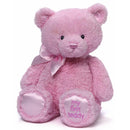Gund Baby My 1st Teddy Plush, Pink Image 1