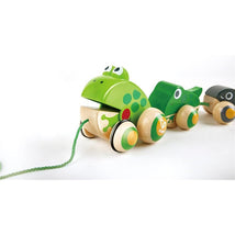 Hape - Pull Along Frog Family with Anti-Rollover Wheels Image 2