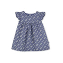 Hugo Boss Baby - Girl Dress & Bloomer, Blue Image 3