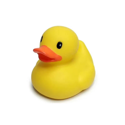 Infantino - Fun Time Duck  Image 1