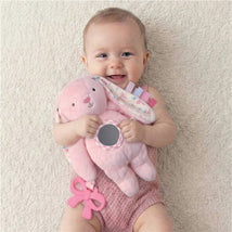 Itzy Ritzy Bitzy Traveler Sensory Developmental Toy - Bunny Image 2