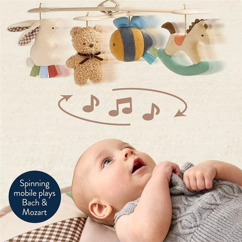 Itzy Ritzy Music & Motion Activity Gym - Bear Image 3