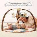 Itzy Ritzy Music & Motion Activity Gym - Bear Image 4