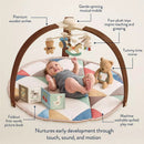 Itzy Ritzy Music & Motion Activity Gym - Bear Image 6